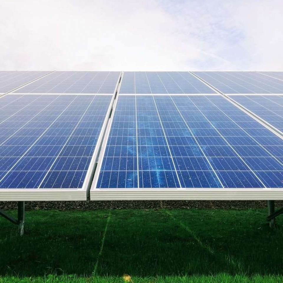 Solar panels up close in a field