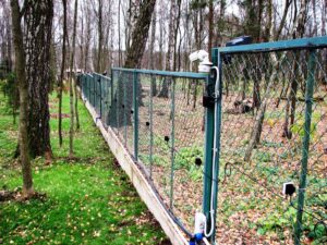 A perimeter fence in woodland with a CU-07 detection system attatched